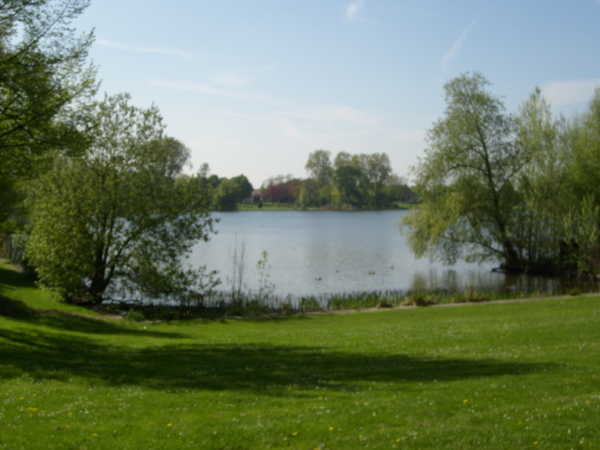 Groen gras met op de achtergrond het water met bomen eromheen