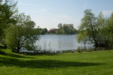 Groen gras met op de achtergrond het water met bomen eromheen